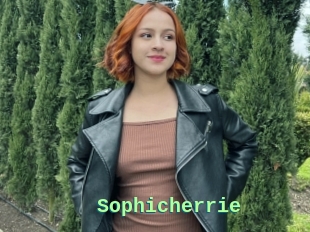 Sophicherrie