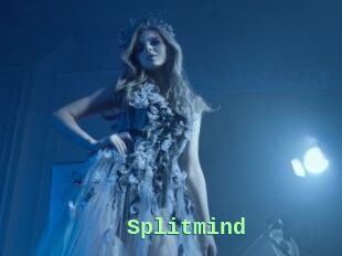 Splitmind