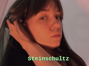 Steinschultz