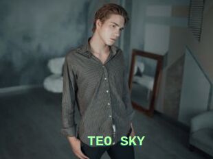 TEO_SKY