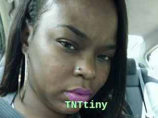 T_N_Ttiny