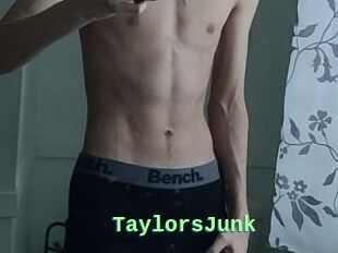 TaylorsJunk