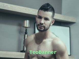 TeoBanner
