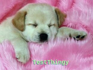 TestThingy