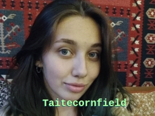Taitecornfield