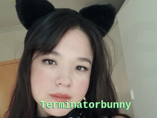 Terminatorbunny