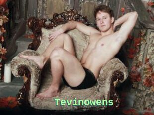 Tevinowens