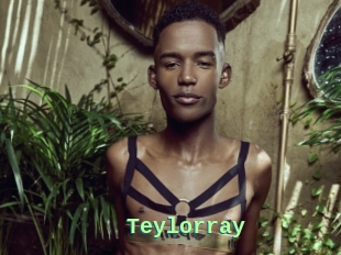 Teylorray