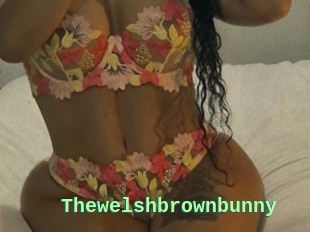 Thewelshbrownbunny