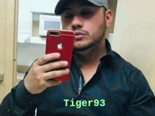 Tiger93