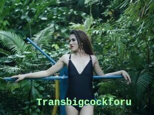 Transbigcockforu