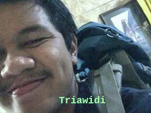Triawidi