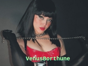 VenusBorthune