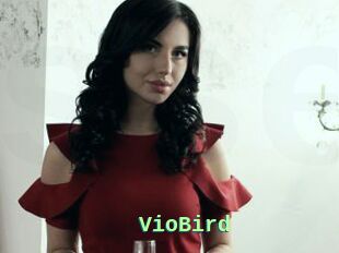 VioBird
