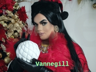 Vannegill