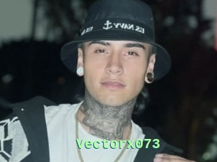 Vectorx073