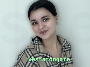 Vestatongate