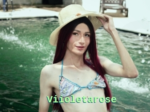Viioletarose