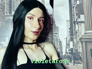 Violetarose