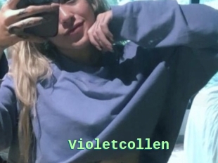 Violetcollen