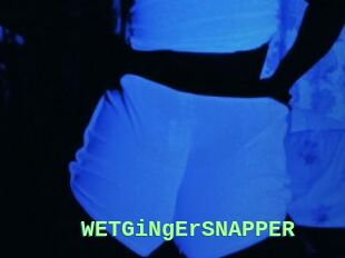 WETGiNgErSNAPPER