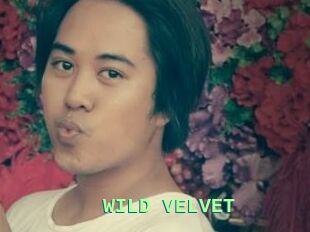 WILD_VELVET