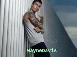 WayneDavis