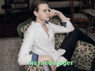 WayneGalager