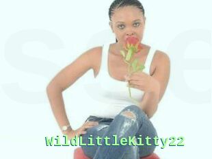 WildLittleKitty22