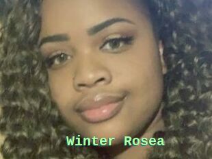 Winter_Rosea