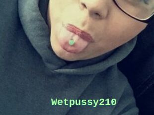 Wetpussy210