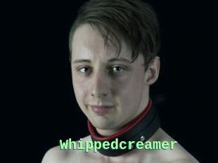 Whippedcreamer