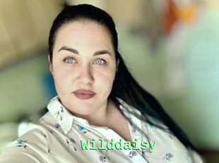 Wilddaisy