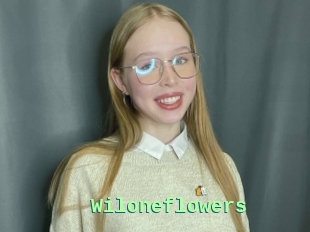 Wiloneflowers