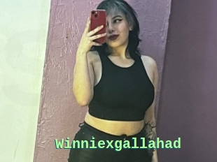 Winniexgallahad