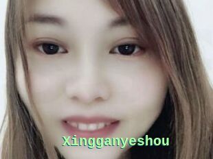 Xingganyeshou
