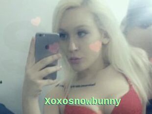 Xoxosnowbunny
