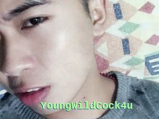 YoungWildCock4u
