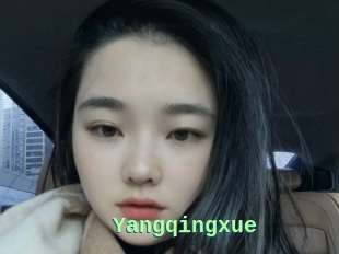 Yangqingxue