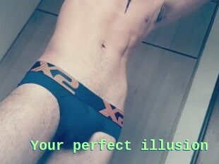 Your_perfect_illusion