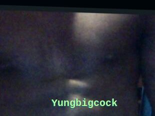 Yungbigcock