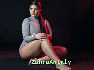ZahraAntaly
