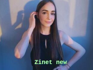 Zinet_new
