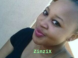 ZinziX