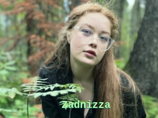 Zadnizza