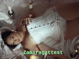 Zamiragattest