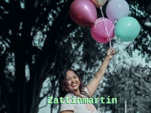 Zattinmartin