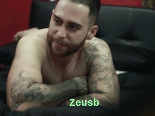 Zeusb
